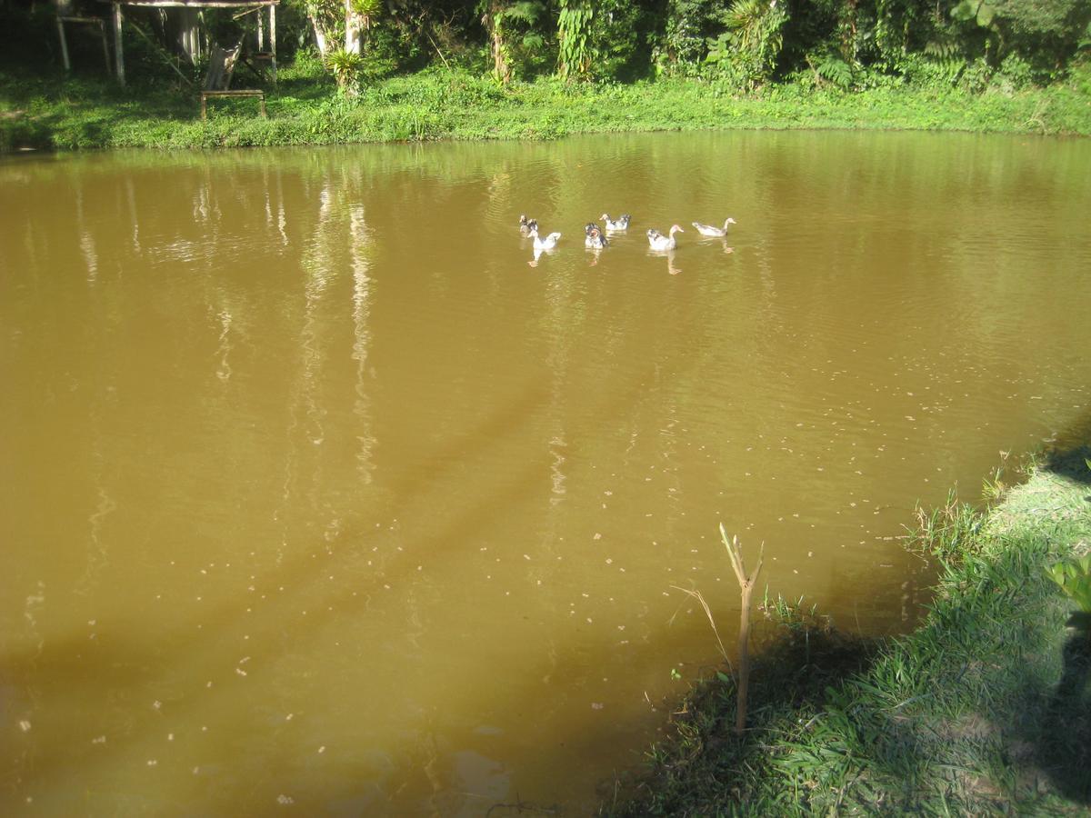 Pousada Recanto Dos Pinheiros Pilar do Sul Экстерьер фото