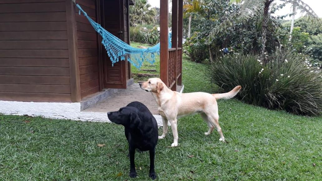 Pousada Recanto Dos Pinheiros Pilar do Sul Экстерьер фото
